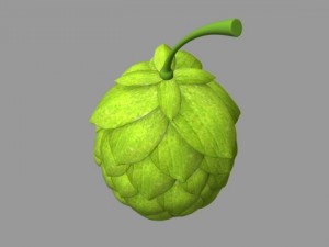 hops Modelo 3D