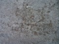 concrete  package textures CG Texturen