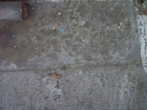 concrete  package textures CG Textures