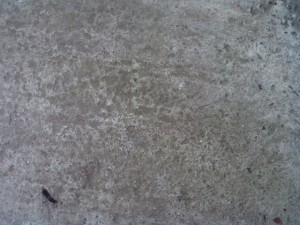 concrete  package textures CG Textures