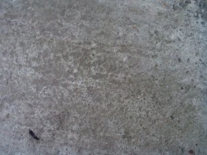 concrete  package textures CG Textures