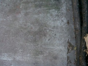 concrete  package textures CG Textures