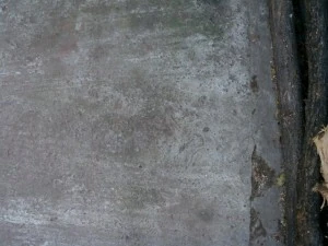 concrete  package textures CG Textures