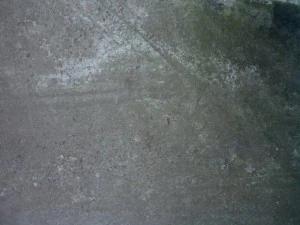concrete  package textures CG Textures