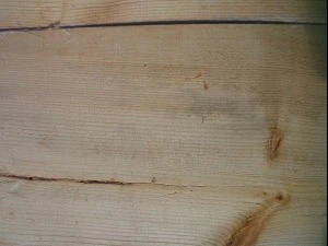 wood plank package textures CG Textures