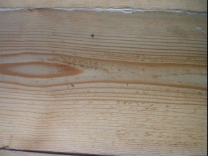 wood plank package textures CG Textures