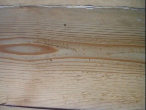 wood plank package textures CG Textures
