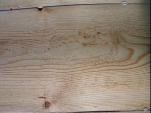 wood plank package textures CG Textures