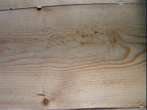wood plank package textures CG Textures
