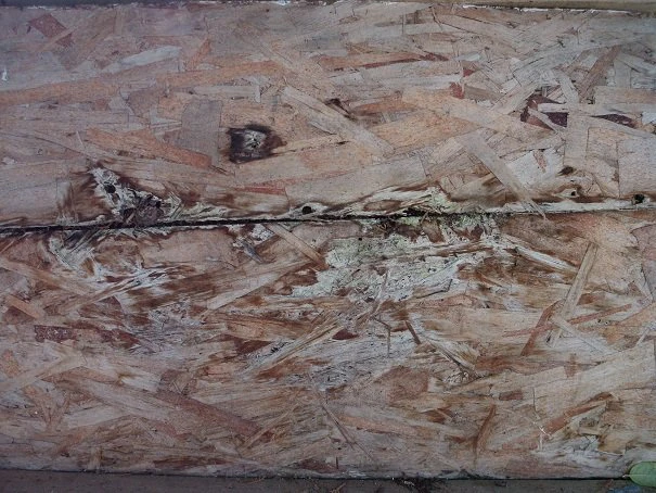 old oriented strand board  package textures CG Textures .c4d .max .obj .3ds .fbx .stl .blend 