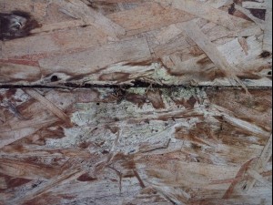 old oriented strand board  package textures CG Textures