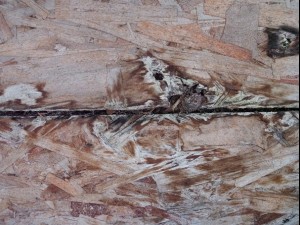 old oriented strand board  package textures CG Textures