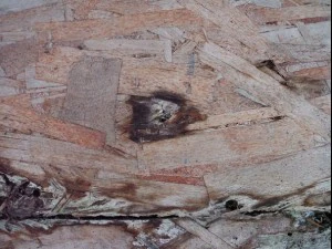 old oriented strand board  package textures CG Textures