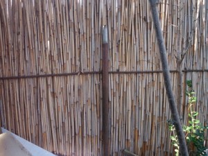 reed fence  package textures CG Texturen