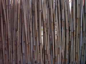 reed fence  package textures CG Textures