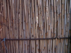 reed fence  package textures CG Textures