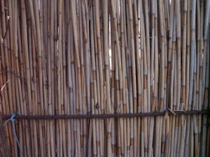 reed fence  package textures CG Textures