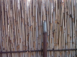 reed fence  package textures CG Textures