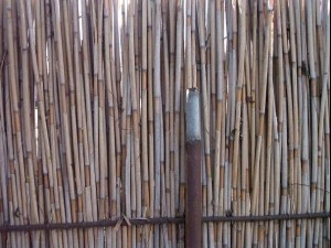 reed fence  package textures CG Textures
