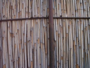 reed fence  package textures CG Textures