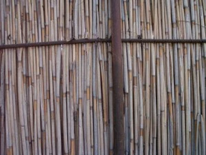 reed fence  package textures CG Textures
