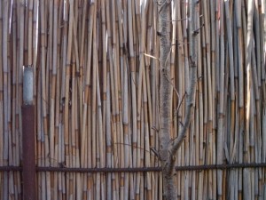 reed fence  package textures CG Textures