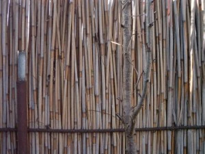 reed fence  package textures CG Textures