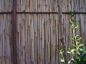 reed fence  package textures CG Textures