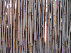 reed fence  package textures CG Textures