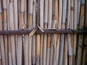 reed fence  package textures CG Textures