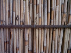reed fence  package textures CG Textures