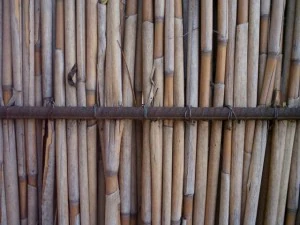reed fence  package textures CG Textures