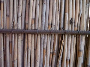 reed fence  package textures CG Textures