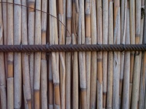 reed fence  package textures CG Textures