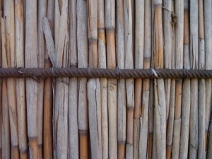 reed fence  package textures CG Textures