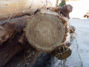 wood ends  package textures CG Texturen