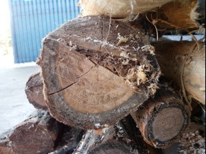 wood ends  package textures CG Tekstury