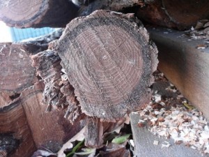 wood ends  package textures CG Tekstury