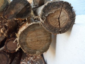 wood ends  package textures CG Tekstury