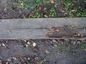rotten wooden plank  package textures CG टेक्स्चर्स
