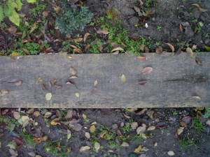rotten wooden plank  package textures CG टेक्स्चर्स