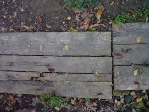 rotten wooden plank  package textures CG टेक्स्चर्स