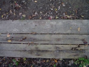 rotten wooden plank  package textures CG टेक्स्चर्स