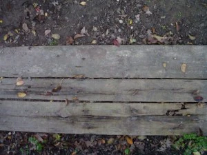 rotten wooden plank  package textures CG Textures