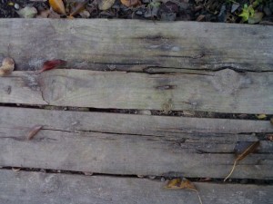 rotten wooden plank  package textures CG टेक्स्चर्स