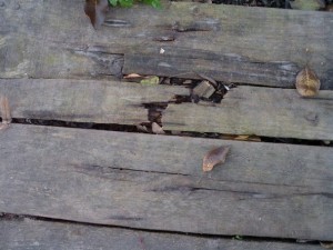rotten wooden plank  package textures CG टेक्स्चर्स