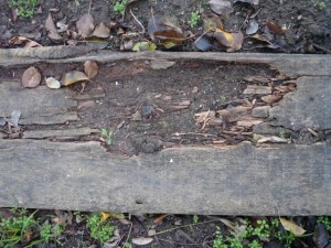 rotten wooden plank  package textures CG टेक्स्चर्स