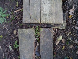 rotten wooden plank  package textures CG टेक्स्चर्स