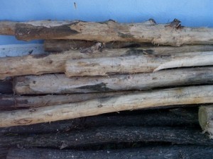 wood tree trunk  package textures CG Textures