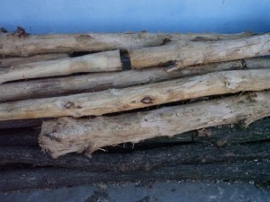 wood tree trunk  package textures CG Dokuları
